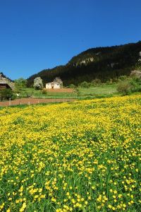 giresun kulakkaya yaylasi otelleri rezervasyonlar trip com