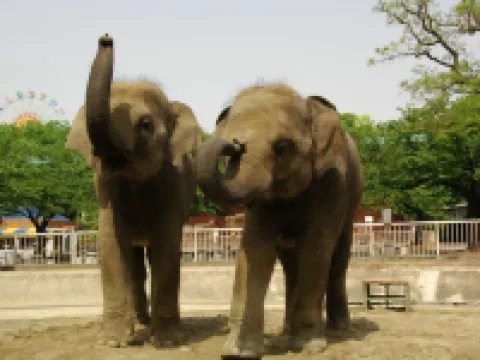 Best Western Plus Nagoya Sakae Hoteles en Nagoya