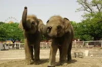 Best Western Plus Nagoya Sakae