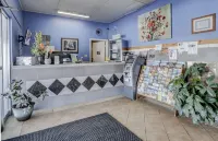 Americas Best Value Inn-Greeley/Evans Hotels in Evans