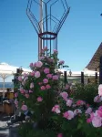 Hotel Siemsens Gaard Hotels in Nekso