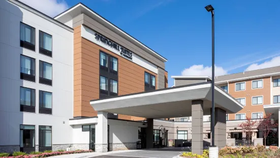 SpringHill Suites Minneapolis Maple Grove/Arbor Lakes