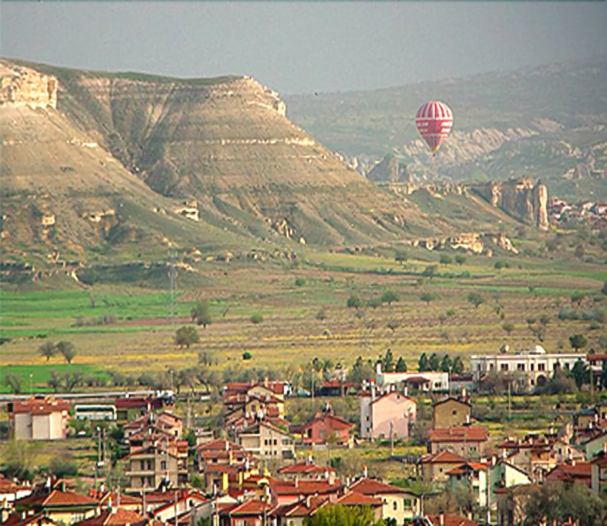 Bir Kedi Villa Guesthouse