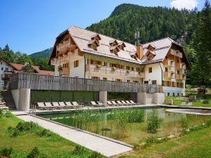 Hotel Plesnik Logarska Dolina