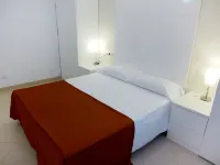 Nautilus - Pet friendly