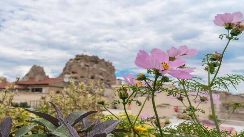 Maze of Cappadocia