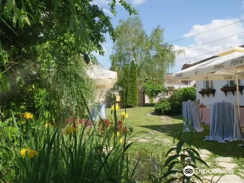 Hotel Waldinger Hotels in Osijek