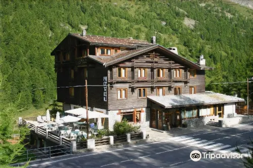 Hotel Chalet Valdotain