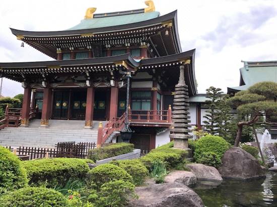 ホテル ヒルトップ 東京 宿泊予約 安い料金プラン 口コミ 部屋写真 Trip Com ホテル ヒルトップ 東京 宿泊予約 安い料金プラン 口コミ 部屋写真 Trip Com