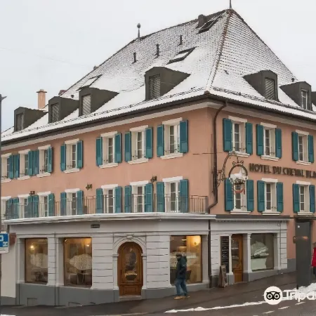 Hôtel du Cheval Blanc - City Center