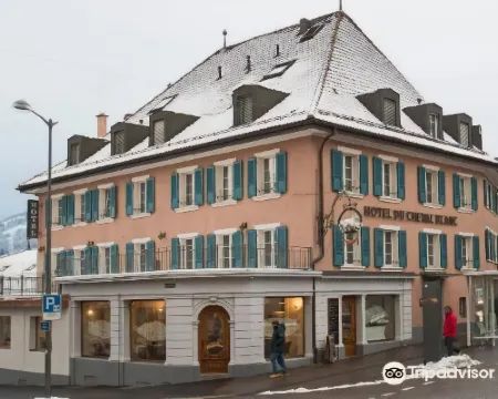Hôtel du Cheval Blanc - City Center Hotels in Bulle