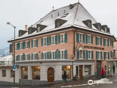 Hôtel du Cheval Blanc - City Center Các khách sạn ở Pont-en-Ogoz