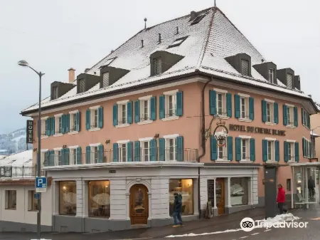 Hôtel du Cheval Blanc - City Center