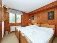 Le Bouquetin 1 Hotels near Hefti Sports Col des Mosses