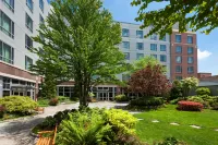 Le Meridien Boston Cambridge - WiFi
