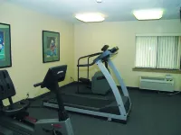 La Quinta Inn by Wyndham Indianapolis Airport Executive Dr - Gym