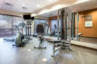 Comfort Suites Ontario Airport Convention Center - Gym