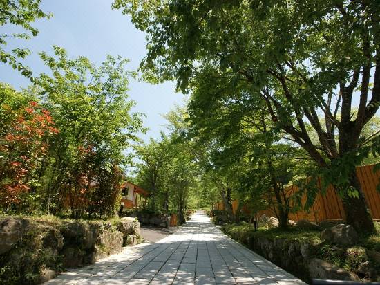 由布院温泉 すみか 由布 宿泊予約 安い料金プラン 口コミ 部屋写真 Trip Com