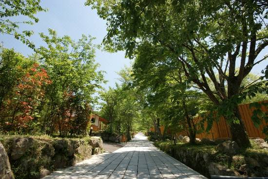 由布院温泉 すみか 由布 宿泊予約 安い料金プラン 口コミ 部屋写真 Trip Com 由布院温泉 すみか 由布 宿泊予約 安い料金プラン 口コミ 部屋写真 Trip Com