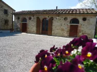 Podere la Chiusella B&B - Wifi