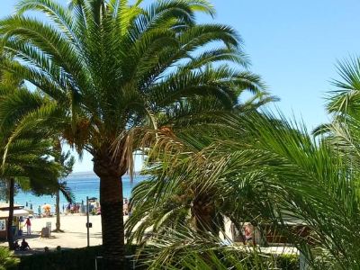 Beach Apartment Minerva