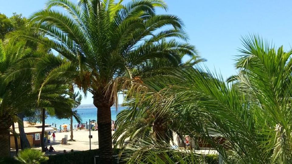 Beach Apartment Minerva