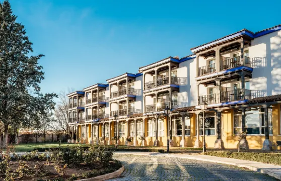 曼薩納雷斯旅館