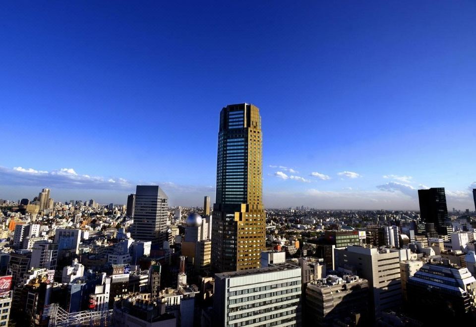 Cerulean Tower Tokyu Hotel 외관 사진