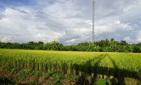 Ban Suan Tawan Chiang Dao - Housity