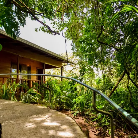 Jaguarundi Jungle Lodge - Monteverde
