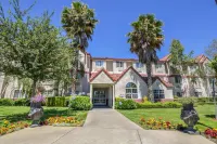 SureStay Plus Hotel by Best Western Rocklin Hotels near Wilderness Archery Inc.