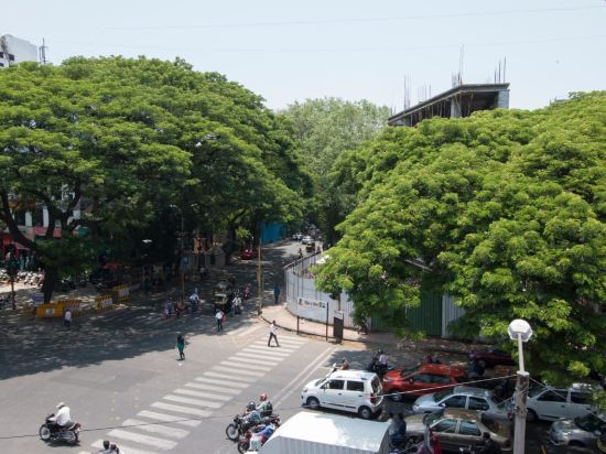 OYO 6429 Hotel Pearl