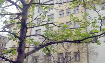 Parlament Apartman