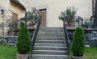 Hotel Schloss Wespenstein