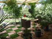 Must Love Dogs B&B & Self Contained Cottage Отели в г. Рутерглен
