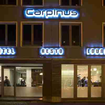 Hotel Carpinus Hotel Exterior