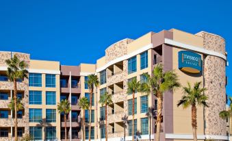 Staybridge Suites Las Vegas - Stadium District