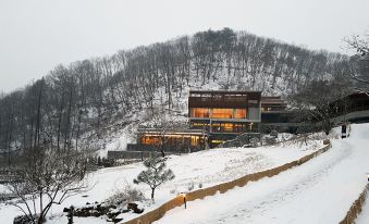 Healience Village