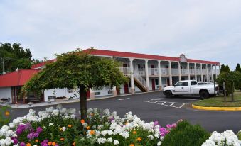 Red Carpet Inn & Suites Culpeper