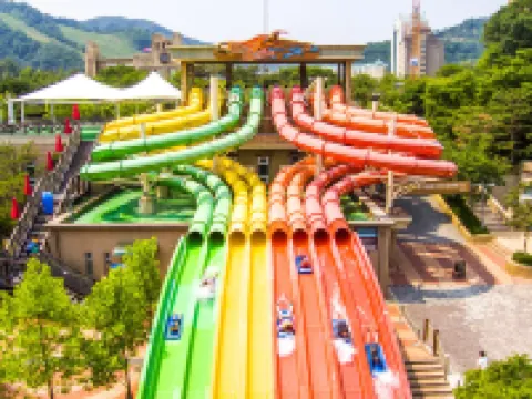 維瓦爾第公園酒店 洪川郡酒店