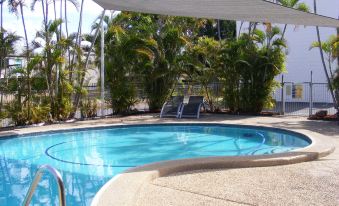 a large outdoor swimming pool surrounded by palm trees , with several people enjoying their time in the pool at Motel Lodge