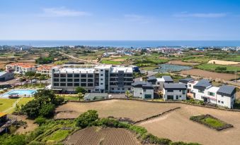 5. 제주 에코그린리..