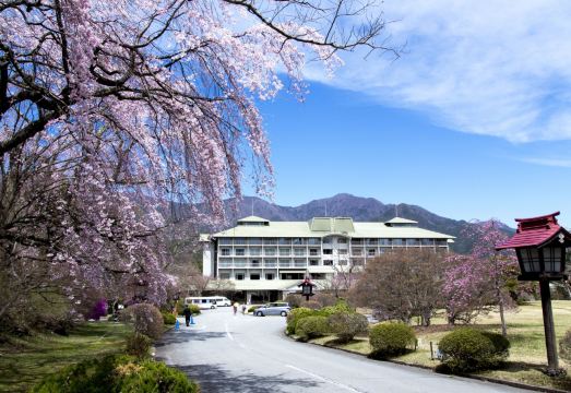 후지 뷰 호텔의 럭셔리 스파 시설 사진