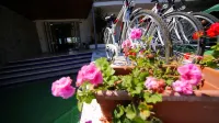 Hotel Punta Licosa Hôtels à : Castellabate