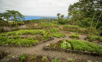 a lush green vegetable garden with various types of plants and vegetables , surrounded by a stone path and overlooking a body of water at La Tigra Rainforest Lodge