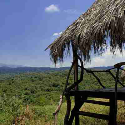 Crater Forest Tented Camp Others