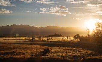 West Meadows of Wanaka