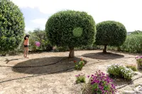 Villa Ikaros Hotels in Arkadi