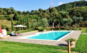 Villa with 4 Bedrooms in Montelaterone, with Wonderful Mountain View, Private Pool, Enclosed Garden