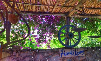 Parmis Rooms - Housity